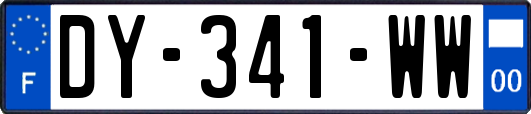 DY-341-WW