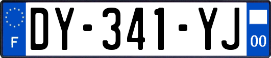 DY-341-YJ