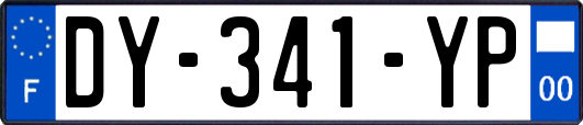 DY-341-YP