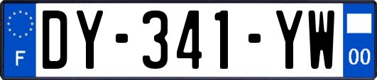 DY-341-YW