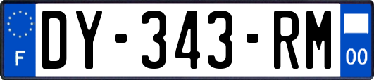 DY-343-RM