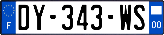 DY-343-WS