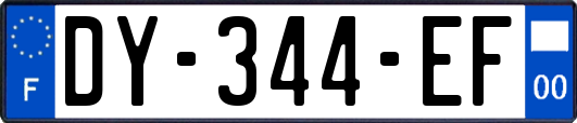 DY-344-EF
