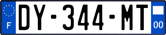 DY-344-MT