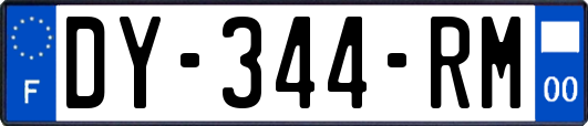 DY-344-RM