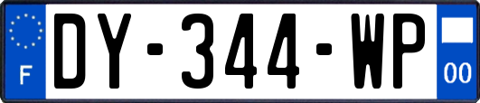 DY-344-WP