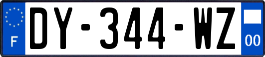 DY-344-WZ