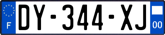 DY-344-XJ