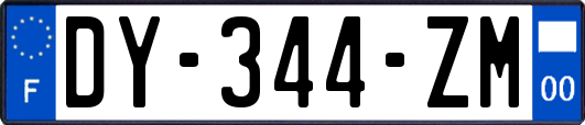 DY-344-ZM