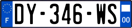 DY-346-WS