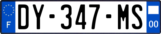DY-347-MS