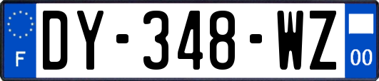 DY-348-WZ