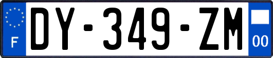 DY-349-ZM