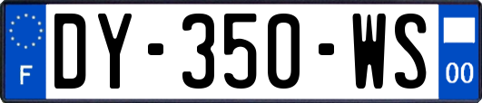 DY-350-WS