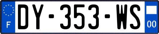 DY-353-WS