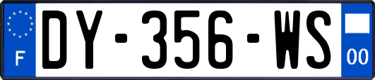 DY-356-WS