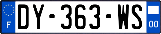 DY-363-WS