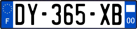 DY-365-XB