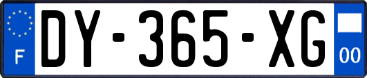 DY-365-XG