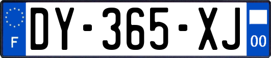 DY-365-XJ