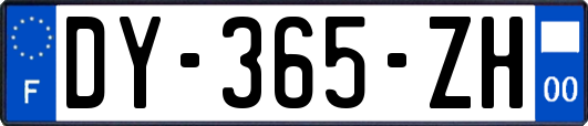 DY-365-ZH