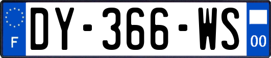 DY-366-WS