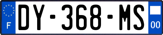 DY-368-MS