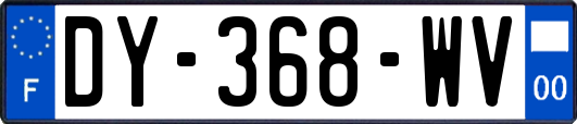 DY-368-WV