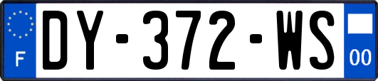 DY-372-WS