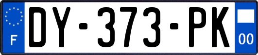 DY-373-PK