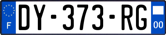 DY-373-RG