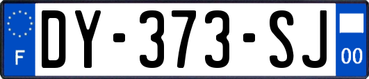 DY-373-SJ