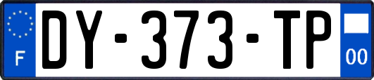 DY-373-TP