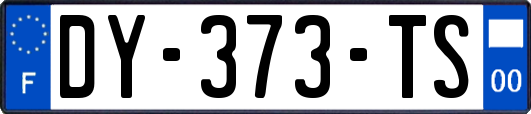 DY-373-TS