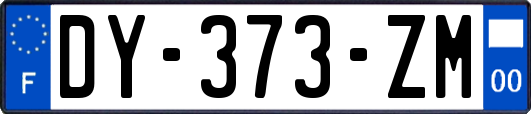 DY-373-ZM