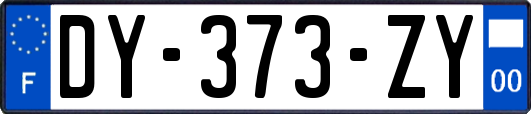 DY-373-ZY