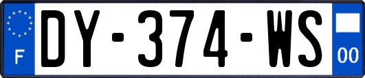 DY-374-WS