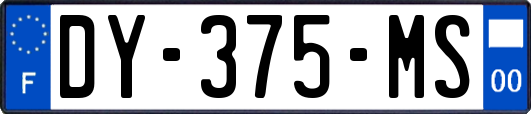 DY-375-MS