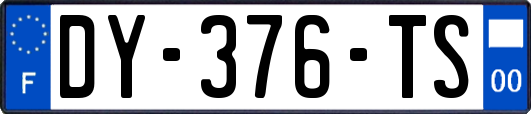 DY-376-TS