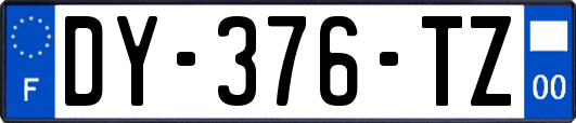 DY-376-TZ