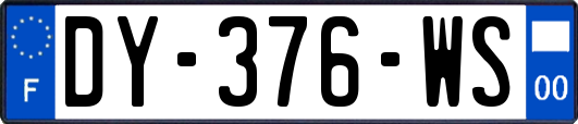 DY-376-WS