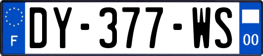 DY-377-WS