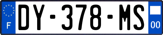 DY-378-MS