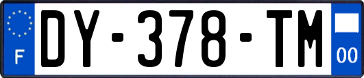 DY-378-TM