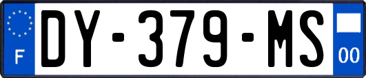DY-379-MS