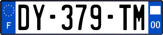 DY-379-TM