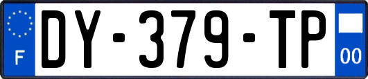 DY-379-TP