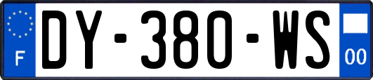 DY-380-WS