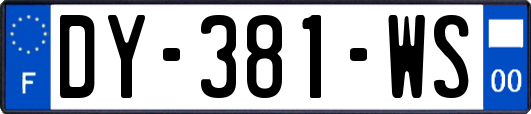 DY-381-WS