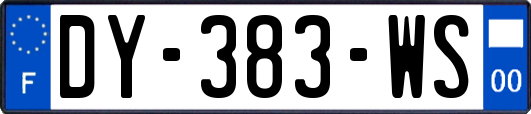 DY-383-WS